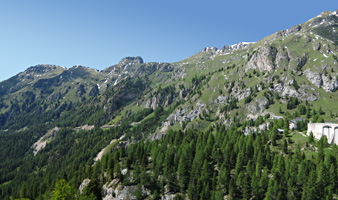 Fedaia